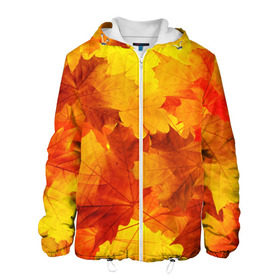 Мужская куртка 3D с принтом Осень , ткань верха — 100% полиэстер, подклад — флис | прямой крой, подол и капюшон оформлены резинкой с фиксаторами, два кармана без застежек по бокам, один большой потайной карман на груди. Карман на груди застегивается на липучку | autumn | bright | color | forest | leaves | maple | paint | trees | деревья | клен | краски | лес | листья | осень | цвета | яркие