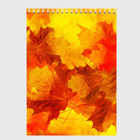 Скетчбук с принтом Осень , 100% бумага
 | 48 листов, плотность листов — 100 г/м2, плотность картонной обложки — 250 г/м2. Листы скреплены сверху удобной пружинной спиралью | Тематика изображения на принте: autumn | bright | color | forest | leaves | maple | paint | trees | деревья | клен | краски | лес | листья | осень | цвета | яркие