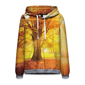 Мужская толстовка 3D с принтом Осень , 100% полиэстер | двухслойный капюшон со шнурком для регулировки, мягкие манжеты на рукавах и по низу толстовки, спереди карман-кенгуру с мягким внутренним слоем. | autumn | bright | colors | forest | paint | trees | деревья | краски | лес | осень | цвета | яркие