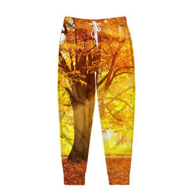 Мужские брюки 3D с принтом Осень , 100% полиэстер | манжеты по низу, эластичный пояс регулируется шнурком, по бокам два кармана без застежек, внутренняя часть кармана из мелкой сетки | autumn | bright | colors | forest | paint | trees | деревья | краски | лес | осень | цвета | яркие