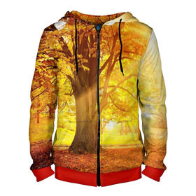 Мужская толстовка 3D на молнии с принтом Осень , 100% полиэстер | длина до линии бедра, манжеты и пояс оформлены мягкой тканевой резинкой, двухслойный капюшон со шнурком для регулировки, спереди молния, по бокам два кармана | Тематика изображения на принте: autumn | bright | colors | forest | paint | trees | деревья | краски | лес | осень | цвета | яркие