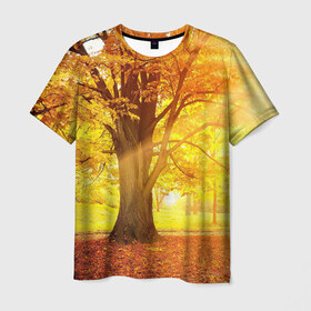Мужская футболка 3D с принтом Осень , 100% полиэфир | прямой крой, круглый вырез горловины, длина до линии бедер | autumn | bright | colors | forest | paint | trees | деревья | краски | лес | осень | цвета | яркие