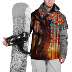 Накидка на куртку 3D с принтом Осень , 100% полиэстер |  | autumn | bright | colors | forest | trees | деревья | краски | лес | лучи | осень | солнце | цвета | яркие