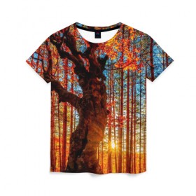 Женская футболка 3D с принтом Осень , 100% полиэфир ( синтетическое хлопкоподобное полотно) | прямой крой, круглый вырез горловины, длина до линии бедер | autumn | bright | colors | forest | trees | деревья | краски | лес | лучи | осень | солнце | цвета | яркие