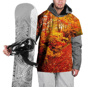 Накидка на куртку 3D с принтом Осень , 100% полиэстер |  | autumn | bright | colors | forest | paint | trees | деревья | краски | лес | осень | цвета | яркие