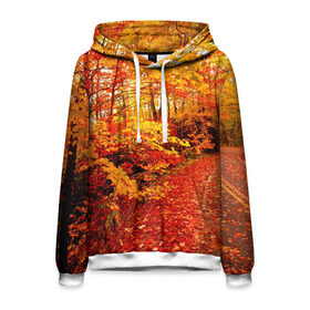 Мужская толстовка 3D с принтом Осень , 100% полиэстер | двухслойный капюшон со шнурком для регулировки, мягкие манжеты на рукавах и по низу толстовки, спереди карман-кенгуру с мягким внутренним слоем. | autumn | bright | colors | forest | paint | trees | деревья | краски | лес | осень | цвета | яркие
