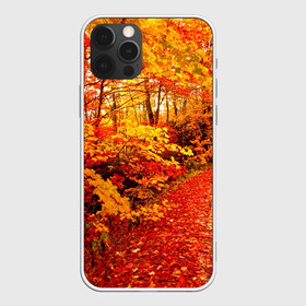 Чехол для iPhone 12 Pro Max с принтом Осень , Силикон |  | autumn | bright | colors | forest | paint | trees | деревья | краски | лес | осень | цвета | яркие