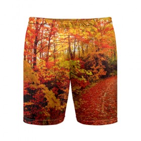 Мужские шорты 3D спортивные с принтом Осень ,  |  | autumn | bright | colors | forest | paint | trees | деревья | краски | лес | осень | цвета | яркие