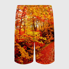 Детские спортивные шорты 3D с принтом Осень ,  100% полиэстер
 | пояс оформлен широкой мягкой резинкой, ткань тянется
 | autumn | bright | colors | forest | paint | trees | деревья | краски | лес | осень | цвета | яркие