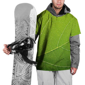 Накидка на куртку 3D с принтом Листик 2 , 100% полиэстер |  | Тематика изображения на принте: зеленый | зелень | лист | природа | растения