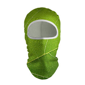 Балаклава 3D с принтом Листик 2 , 100% полиэстер, ткань с особыми свойствами — Activecool | плотность 150–180 г/м2; хорошо тянется, но при этом сохраняет форму. Закрывает шею, вокруг отверстия для глаз кайма. Единый размер | зеленый | зелень | лист | природа | растения