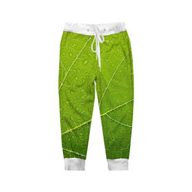 Детские брюки 3D с принтом Листик 2 , 100% полиэстер | манжеты по низу, эластичный пояс регулируется шнурком, по бокам два кармана без застежек, внутренняя часть кармана из мелкой сетки | зеленый | зелень | лист | природа | растения
