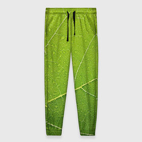Женские брюки 3D с принтом Листик 2 , полиэстер 100% | прямой крой, два кармана без застежек по бокам, с мягкой трикотажной резинкой на поясе и по низу штанин. В поясе для дополнительного комфорта — широкие завязки | зеленый | зелень | лист | природа | растения