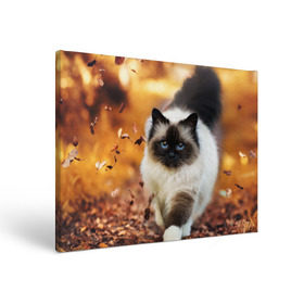 Холст прямоугольный с принтом Котик в листьях , 100% ПВХ |  | грация | кот | котик | кошка | листья | осень