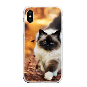 Чехол для iPhone XS Max матовый с принтом Котик в листьях , Силикон | Область печати: задняя сторона чехла, без боковых панелей | грация | кот | котик | кошка | листья | осень