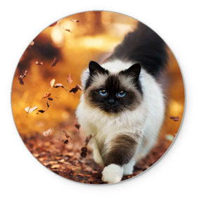 Коврик круглый с принтом Котик в листьях , резина и полиэстер | круглая форма, изображение наносится на всю лицевую часть | грация | кот | котик | кошка | листья | осень