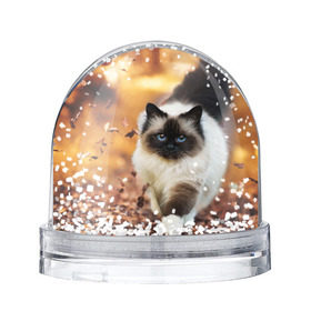 Снежный шар с принтом Котик в листьях , Пластик | Изображение внутри шара печатается на глянцевой фотобумаге с двух сторон | грация | кот | котик | кошка | листья | осень