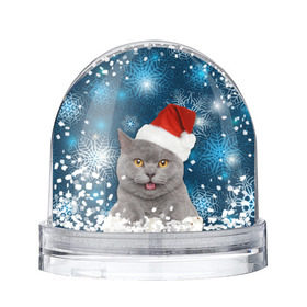 Снежный шар с принтом Праздничная пара 2 , Пластик | Изображение внутри шара печатается на глянцевой фотобумаге с двух сторон | кот | котики | любовь | парные | праздники | собаки