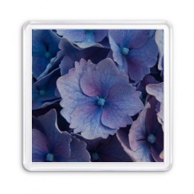 Магнит 55*55 с принтом Синие цветочки , Пластик | Размер: 65*65 мм; Размер печати: 55*55 мм | Тематика изображения на принте: синий | сиреневый | цветок | цветы