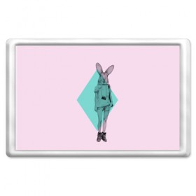 Магнит 45*70 с принтом Pink Rabbit , Пластик | Размер: 78*52 мм; Размер печати: 70*45 | Тематика изображения на принте: hipster | rabbit | swag | кролик | хипстер