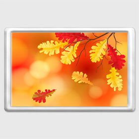 Магнит 45*70 с принтом Осень , Пластик | Размер: 78*52 мм; Размер печати: 70*45 | Тематика изображения на принте: ветви | ветка | дерево | дуб | листок | листья | природа