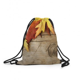 Рюкзак-мешок 3D с принтом Золотая осень , 100% полиэстер | плотность ткани — 200 г/м2, размер — 35 х 45 см; лямки — толстые шнурки, застежка на шнуровке, без карманов и подкладки | дерево | лист | листья | осень