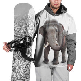 Накидка на куртку 3D с принтом Слон VPPDGryphon , 100% полиэстер |  | Тематика изображения на принте: luxury | premium | vip | vppdgryphon | премиум | слон | эксклюзив