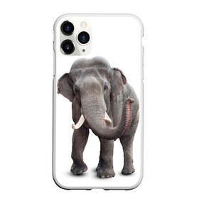 Чехол для iPhone 11 Pro матовый с принтом Слон VPPDGryphon , Силикон |  | luxury | premium | vip | vppdgryphon | премиум | слон | эксклюзив