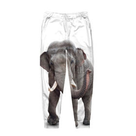 Мужские брюки 3D с принтом Слон VPPDGryphon , 100% полиэстер | манжеты по низу, эластичный пояс регулируется шнурком, по бокам два кармана без застежек, внутренняя часть кармана из мелкой сетки | luxury | premium | vip | vppdgryphon | премиум | слон | эксклюзив