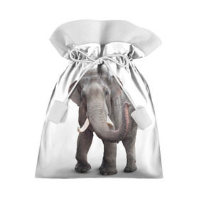 Подарочный 3D мешок с принтом Слон VPPDGryphon , 100% полиэстер | Размер: 29*39 см | luxury | premium | vip | vppdgryphon | премиум | слон | эксклюзив