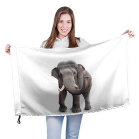 Флаг 3D с принтом Слон VPPDGryphon , 100% полиэстер | плотность ткани — 95 г/м2, размер — 67 х 109 см. Принт наносится с одной стороны | luxury | premium | vip | vppdgryphon | премиум | слон | эксклюзив