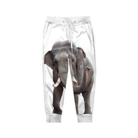 Детские брюки 3D с принтом Слон VPPDGryphon , 100% полиэстер | манжеты по низу, эластичный пояс регулируется шнурком, по бокам два кармана без застежек, внутренняя часть кармана из мелкой сетки | luxury | premium | vip | vppdgryphon | премиум | слон | эксклюзив