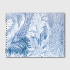 Альбом для рисования с принтом Морозные узоры , 100% бумага
 | матовая бумага, плотность 200 мг. | Тематика изображения на принте: frost | happy | new | year | год | иней | мороз | новогодние | новый | снег