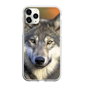 Чехол для iPhone 11 Pro матовый с принтом Волк , Силикон |  | волк | волки | волчата | волчонок | хищник