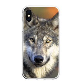 Чехол для iPhone XS Max матовый с принтом Волк , Силикон | Область печати: задняя сторона чехла, без боковых панелей | Тематика изображения на принте: волк | волки | волчата | волчонок | хищник