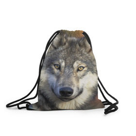 Рюкзак-мешок 3D с принтом Волк , 100% полиэстер | плотность ткани — 200 г/м2, размер — 35 х 45 см; лямки — толстые шнурки, застежка на шнуровке, без карманов и подкладки | волк | волки | волчата | волчонок | хищник