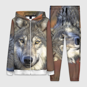Женский костюм 3D с принтом Волк ,  |  | волк | волки | волчата | волчонок | хищник