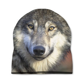 Шапка 3D с принтом Волк , 100% полиэстер | универсальный размер, печать по всей поверхности изделия | Тематика изображения на принте: волк | волки | волчата | волчонок | хищник