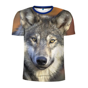 Мужская футболка 3D спортивная с принтом Волк , 100% полиэстер с улучшенными характеристиками | приталенный силуэт, круглая горловина, широкие плечи, сужается к линии бедра | волк | волки | волчата | волчонок | хищник