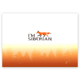 Поздравительная открытка с принтом Я из Сибири , 100% бумага | плотность бумаги 280 г/м2, матовая, на обратной стороне линовка и место для марки
 | siberia | лес | лиса | приключения | россия | сибирь | тайга | туризм | холод | экстрим