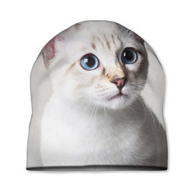 Шапка 3D с принтом Кошечка , 100% полиэстер | универсальный размер, печать по всей поверхности изделия | Тематика изображения на принте: кот | котики | котята | кошка | рыженький | рыжий | серенький | черненький