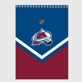 Скетчбук с принтом Colorado Avalanche , 100% бумага
 | 48 листов, плотность листов — 100 г/м2, плотность картонной обложки — 250 г/м2. Листы скреплены сверху удобной пружинной спиралью | Тематика изображения на принте: america | canada | hockey | nhl | usa | америка | канада | колорадо | лед | нхл | сша | хоккей | эвеланш