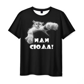 Мужская футболка 3D с принтом Иди сюда! , 100% полиэфир | прямой крой, круглый вырез горловины, длина до линии бедер | киска | кот | котёнок | кошка | лапа | прикольные картинки