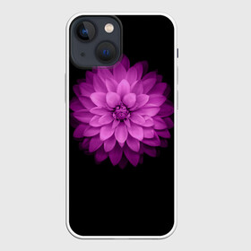 Чехол для iPhone 13 mini с принтом Violet ,  |  | Тематика изображения на принте: лепестки | прикольные картинки | фиолетовый | цветочки | цветы