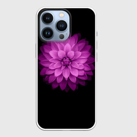Чехол для iPhone 13 Pro с принтом Violet ,  |  | Тематика изображения на принте: лепестки | прикольные картинки | фиолетовый | цветочки | цветы