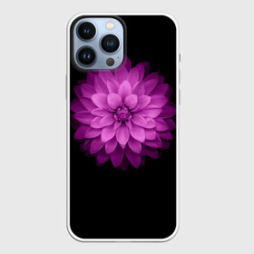 Чехол для iPhone 13 Pro Max с принтом Violet ,  |  | Тематика изображения на принте: лепестки | прикольные картинки | фиолетовый | цветочки | цветы