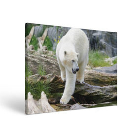 Холст прямоугольный с принтом Белый медведь , 100% ПВХ |  | арктика