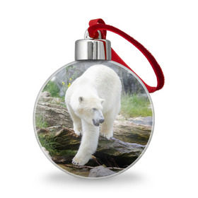 Ёлочный шар с принтом Белый медведь , Пластик | Диаметр: 77 мм | Тематика изображения на принте: арктика