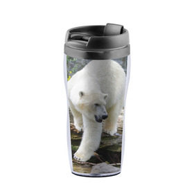 Термокружка-непроливайка с принтом Белый медведь , внутренняя часть — пищевой пластик, наружная часть — прозрачный пластик, между ними — полиграфическая вставка с рисунком | объем — 350 мл, герметичная крышка | арктика