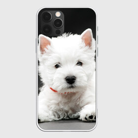 Чехол для iPhone 12 Pro Max с принтом Вест-хайленд-уайт-терьер , Силикон |  | вест хайленд уайт терьер | животное | порода | собака
